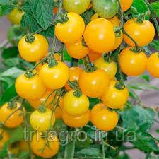 Помідор Черрі золотий 0,2 р НУ (шт)