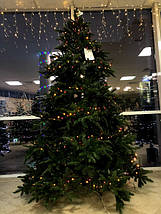 Ялина 2,30 м Abies Nordmann de Luxe зелена УЦІНКА, фото 3