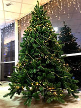 Ялина 185 см, Scandia УЦІНКА, фото 2