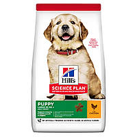 Hills Science Plan Puppy Large Breed Chicken (Хілс СП Паппі Льодч) для цуценят великих порід до 1,5 року