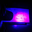 УФ Кишеньковий ліхтарик брелок для перевірки грошей Детектор валют ультрафіолетова лампа для купюр, фото 6