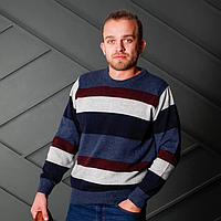 Джемпер чоловічий у смужку