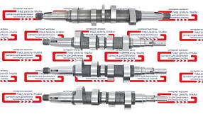 Кулачковий вал ПНВТ