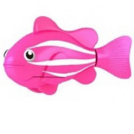 Інтерактивна іграшка рибка-робот (роборыбка) Robo Fish, фото 2