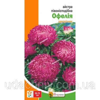 Астра піоноїдна Офелія 0.3 г
