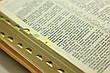 Рос. Біблія малого формату (колоски, шкірзам, золото, індекси, блискавка, 14х19), фото 2