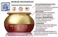 Yezihu Eye Cream. Крем для глаз с экстрактом красного женьшеня