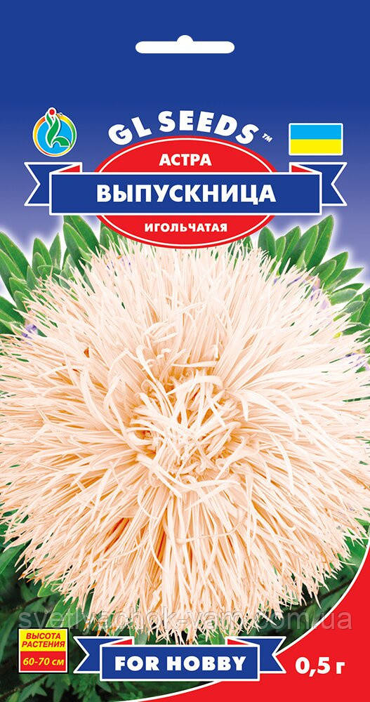 Астра Випускниця суміш букетна вишукана незвичайна барвиста голчастого типу махрова, упаковка 0,3 г
