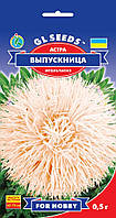 Астра Випускниця суміш букетна вишукана незвичайна барвиста голчастого типу махрова, упаковка 0,3 г
