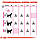 Корм для котів ROYAL CANIN EXIGENT AROMA 2.0 кг, вибагливих до аромату корму, фото 6