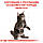 Корм для кошенят ROYAL CANIN MAINECOON KITTEN 2.0 кг, фото 6