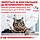 Корм для дорослих котів ROYAL CANIN HYPOALLERGENIC CAT  0.4 кг, фото 8