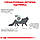 Корм для дорослих котів ROYAL CANIN SATIETY WEIGHT MANAGEMENT CAT 0.4 кг, фото 4