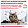 Корм для дорослих котів ROYAL CANIN URINARY S/O MODERATE CALORIE CAT 0.4 кг, фото 11