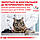 Вологий корм для дорослих котів ROYAL CANIN GASTRO-INTESTINAL CAT Pouches 0.085 кг, фото 9