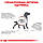 Корм для дорослих собак ROYAL CANIN GASTRO INTESTINAL DOG 15.0 кг, фото 4