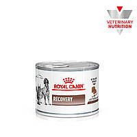 Вологий корм для дорослих собак та котів ROYAL CANIN RECOVERY  0.195 кг