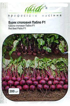 Насіння буряку Пабло F1, 200 насіння — середньопризначений гібрид (115 дн), кругле, їдальня Bejo, фото 2