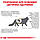 Корм для дорослих котів ROYAL CANIN URINARY S/O MODERATE CALORIE CAT 0.4 кг, фото 9