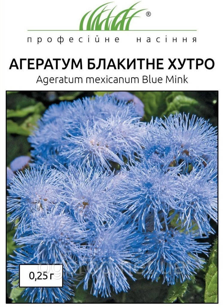 Агератум Блакитне Хутро 0,25 грам Hem Zaden Голландія