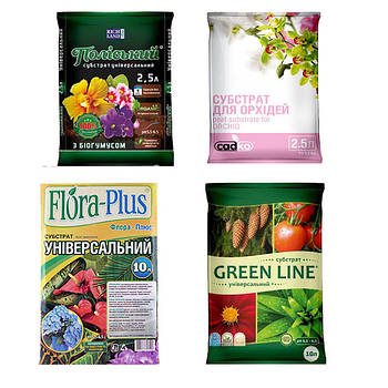 Ґрунти та посадковий матеріал