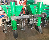 Картоплесаджалка дворядна 60л, фото 4