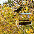 Годівниця для птахів на вікно в подарунковій коробці з присосками Лоджія, фото 8