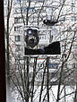 Годівниця для птахів присосками на вікно акрилова Фотоапарат з упаковкою, фото 5