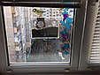 Годівниця для птахів присосками на вікно акрилова Фотоапарат з упаковкою, фото 6