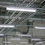 Лампа EVROLIGHT L-1200 4000K 18Вт G13 T8 трубчаста LED, фото 4