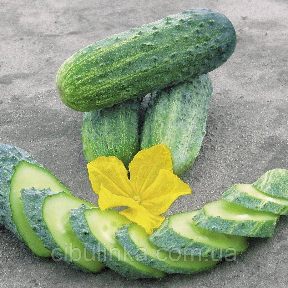 Огірок Кріспіна (самозапильна) F1 50 шт., фото 1