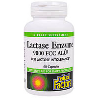 Лактаза (Lactase Enzyme), Natural Factors, 9000 ед, 60 кап