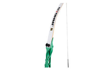 Цибулю Зелений Дракон, супер якість, класичний стиль + експертиза, фото 3