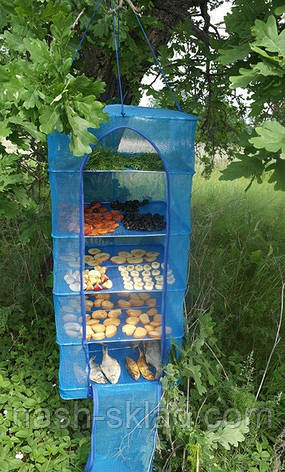 Сушарка для риби, грибів, сухофруктів, посилений каркас на 5 полиць, фото 1