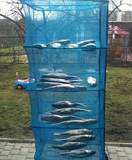 Сушарка для риби туристична, на 5 полиць 50*50*100, фото 4