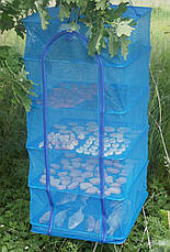 Сушарка для риби, грибів, сухофруктів 45*45*100 на 5 полиць, фото 5