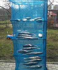 Сушарка для фруктів, посилений каркас на 5 полиць 50*50*100, СУПЕР ЯКІСТЬ, фото 5