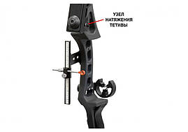 Цибуля Jandao Чорна Пантера, елітний вибір і надійніше якість, фото 3