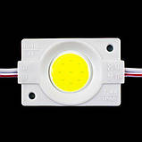 Світлодіодний модуль Biom 2,4W COB холодний білий, фото 3