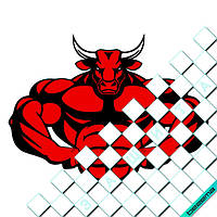 Термонаклейки на одяг Свій розмір і матеріали в асортименті] 10, 5.5, Середній