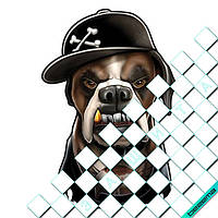 Термонаклейки на одяг Свій розмір і матеріали в асортименті] 10, 8.7, Середній