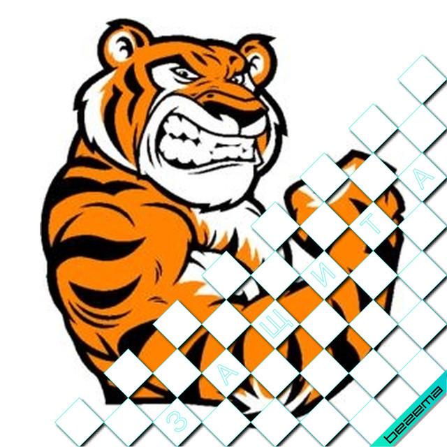 Термонаклейки на одяг [Свій розмір і матеріали в асортименті]