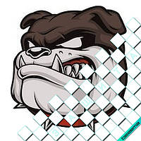 Термонаклейки на одяг Свій розмір і матеріали в асортименті]