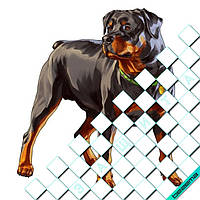 Термотрансфери на одяг [Свій розмір і матеріали в асортименті]