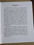 Моя перша 1000 слів англійською мовою, фото 4