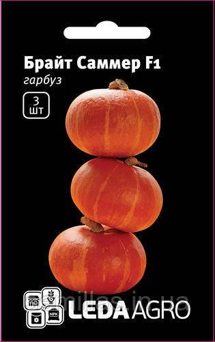Насіння гарбуза Брайт Саммер (Bright Summer) F1, 3 шт., ТМ "ЛедаАгро", фото 1