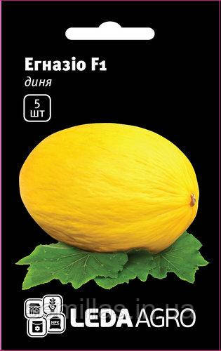 Насіння дині Егназіо (Egnazio) F1, 5 шт., ТМ "ЛедаАгро"