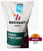 DS0336 ФАО 330 (Maxim XL) Семена кукурузы Brevant