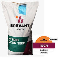 Р9071 ФАО 280 (Maxim XL) Насіння кукурудзи Brevant