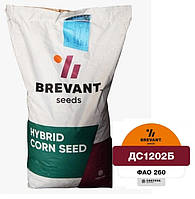 DS1202B ФАО 260 (Maxim XL) Семена кукурузы Brevant